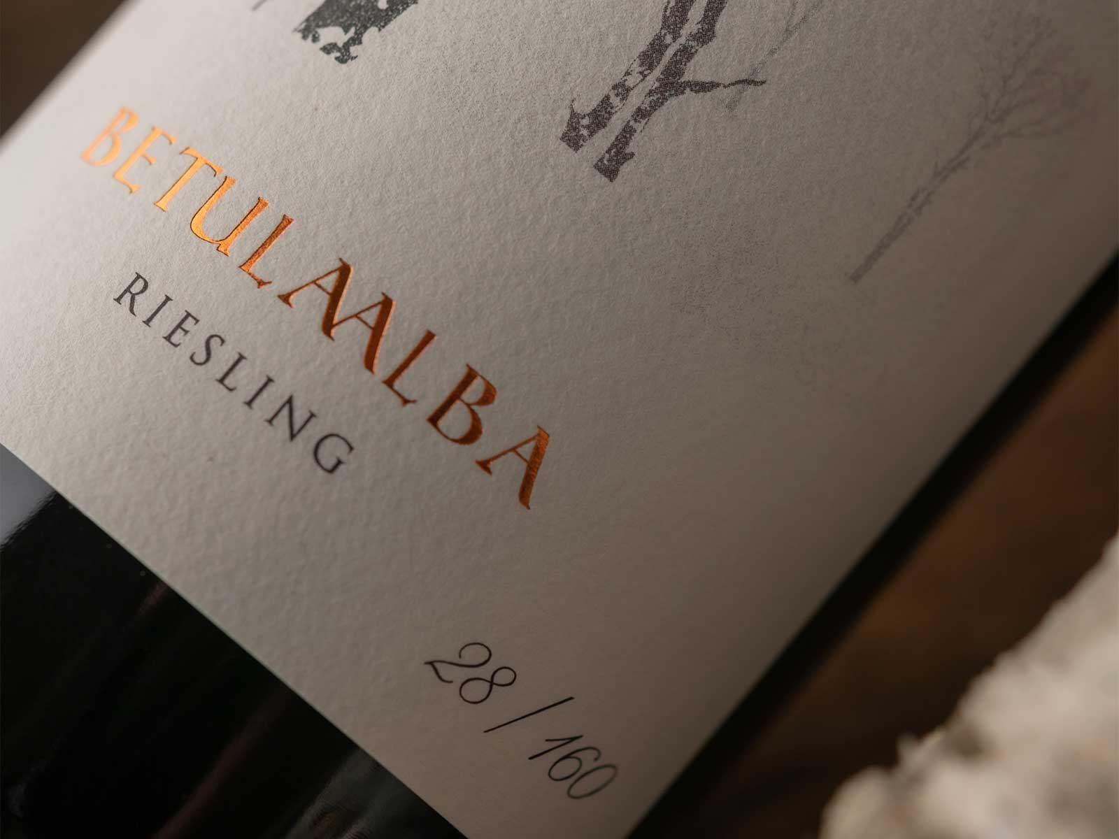 1-BetulaAlba