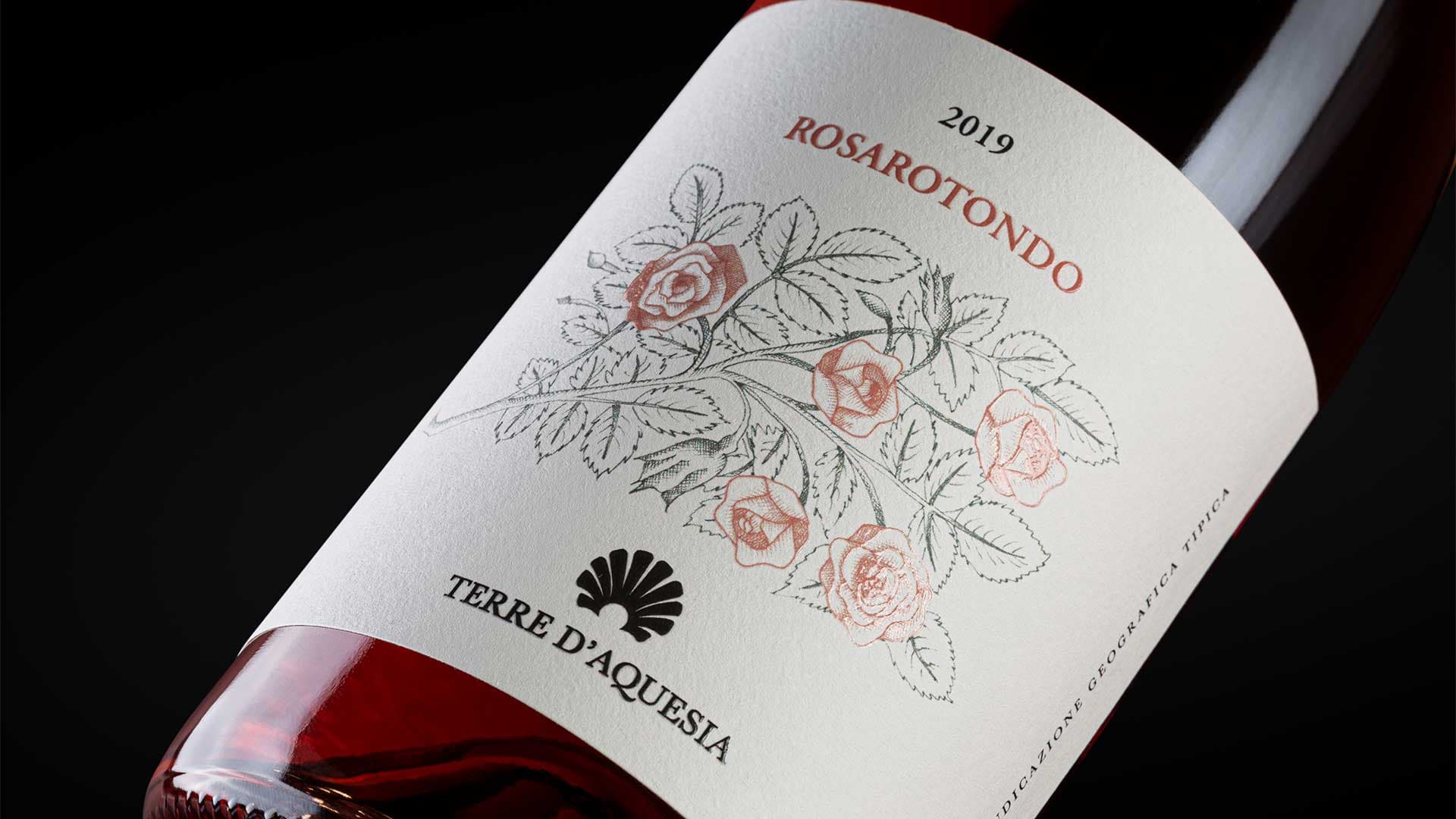 cover Terre d'aquesia