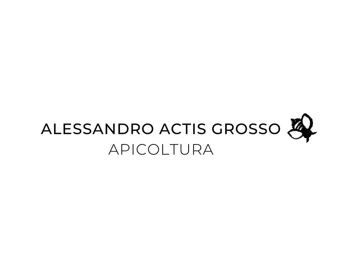 logo_Alessandro-Actis-Grosso