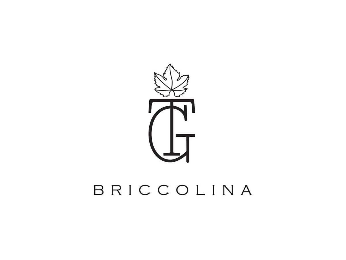 logo_Briccolina